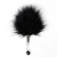 A black feather tickler with an acrylic handle tipped with a metal ball. 