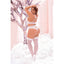 Mapale Cross-Back Button Lace Bra & Keyhole Panty Set has sheer striped cups & panty waistband w/ cute triple buttons & butterfly-like lace in the rear + a cheeky keyhole. (3)