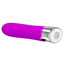 Pretty Love Sebastian Textured Silicone Bullet Vibrator delivers 12 vibration modes w/ a textured shaft for more stimulation + convenient memory function. Purple. (2)