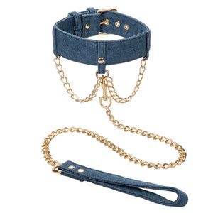 Collars & Leashes