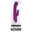 A box by Evolved stands against a white backdrop and features a purple bunny eared G-spot vibrator on it.