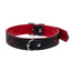A black faux leather collar with cutout red hearts all around it shows its silver D-ring and adjustable buckle.