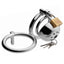 A metal cock cage sits on a white background with a padlock, keys and an interchangeable ball ring in a larger size.