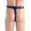 A mannequin wears the Strict chastity harness, showing the adjustable waist and rear straps in between the buttocks.