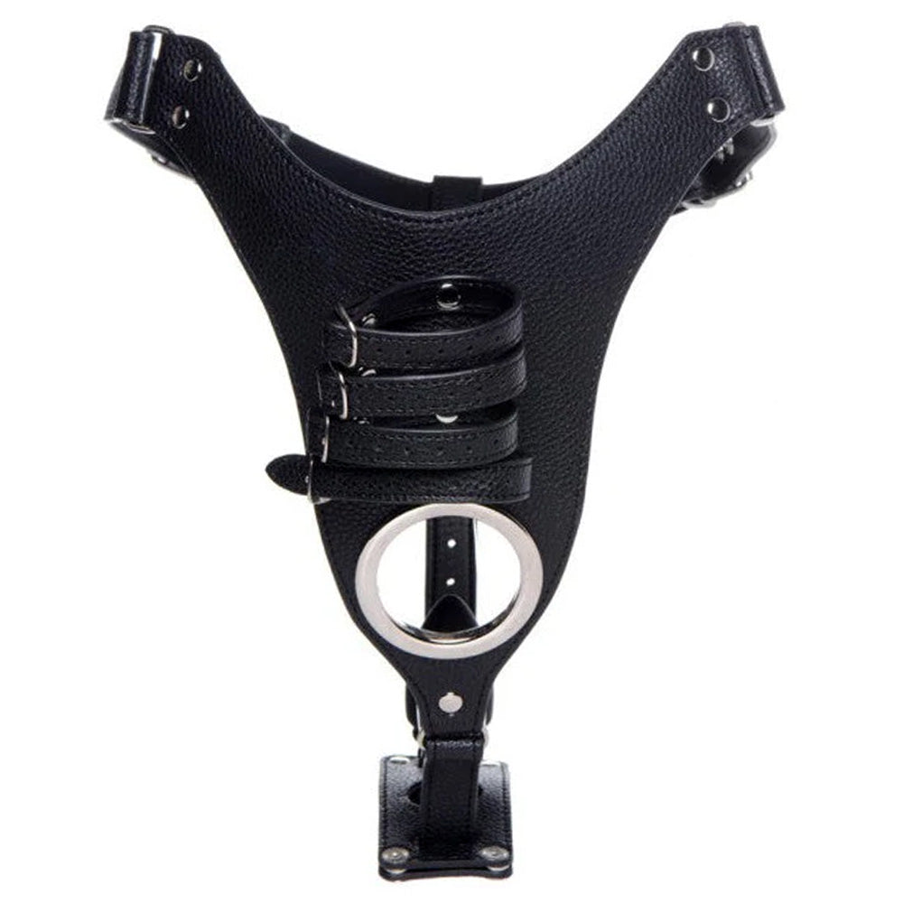 A black chastity harness showcases its metal cock and ball opening and 4 adjustable buckled straps to hold the penis shaft.