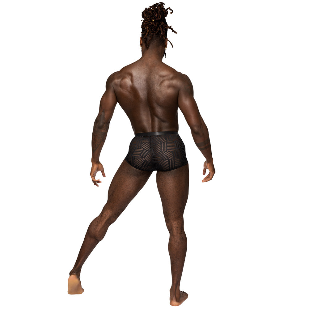A back shot of a male underwear model wearing sheer striped boxer briefs in black mesh with high-cut legs.