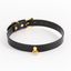 A faux leather black choker sits against a white backdrop with a horseshoe-shaped gold ring in the middle. 