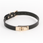 A black faux leather choker in seperate halves connected with a gold twist-to-lock design. 