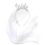Bride Veil Glitter Headband - easy to wear with an attached veil and "bride" wording on the headband. Silver