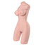  Life-Size Poseable Female Torso Sex Doll Masturbator has a textured vagina & anus, plus usable breasts, realistic feeling skin & poseable metal skeleton. (2)