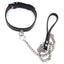 Love in Leather Western Tipped Leather Collar & Leash Set. (2)