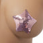 Poison Rose Sequinned Star Nipple Pasties catch the light in a fun star shape that's moulded to follow the curve of your breasts. (2)