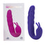 Ribbed Dual Stimulator - dual-motor vibrator has a ribbed bulbous shaft & a double-pronged clitoral teaser for 10 modes & turbo mode. Purple, box