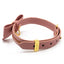 Sevanda Lockable Bow Collar & Chain Leash makes a great choker necklace or bondage collar & includes a metal chain leash + a padlock for your Dom to keep you collared. Pink brown. (3)