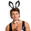This sexy men's costume comes w/ a plunging cheeky-cut bodysuit, bowtie collar, French wrist cuffs & bunny ears + a tail. (2)