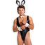 This sexy men's costume comes w/ a plunging cheeky-cut bodysuit, bowtie collar, French wrist cuffs & bunny ears + a tail. (4)